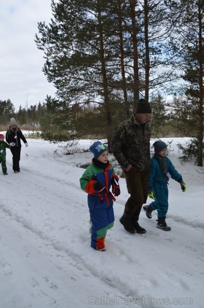 Interesantā pārgājiena laikā pasākuma dalībnieki tika izglītoti par dzīvniekiem ziemā, atstātajiem pēdu nospiedumiem, varēja noskaidrot no kurienes at 243919