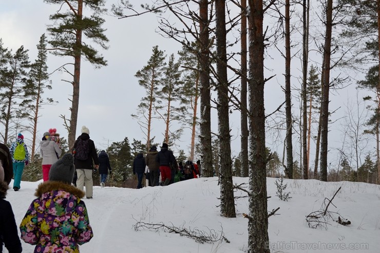 Interesantā pārgājiena laikā pasākuma dalībnieki tika izglītoti par dzīvniekiem ziemā, atstātajiem pēdu nospiedumiem, varēja noskaidrot no kurienes at Interesantā pārgājiena laikā pasākuma dalībnieki tika izglītoti par dzīvniekiem ziemā, atstātajiem pēdu nospiedumiem, varēja noskaidrot no kurienes at 243925