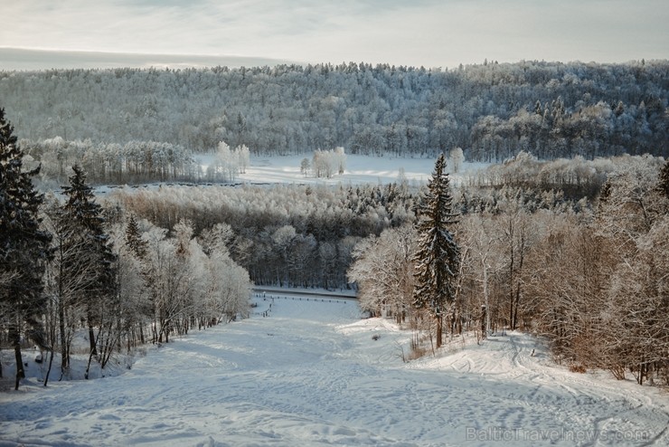 Kā ar maģisku burvju nūjiņas pieskārienu, Sigulda lepni iznes visu gadalaiku tērpus - zeltu, sudrabu, ievziedu mirdzumu un sulīgo vasaras zaļumu 243964
