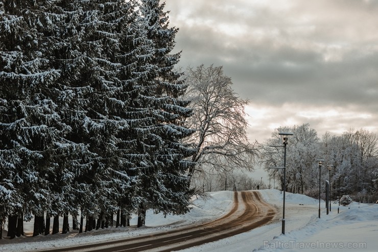 Kā ar maģisku burvju nūjiņas pieskārienu, Sigulda lepni iznes visu gadalaiku tērpus - zeltu, sudrabu, ievziedu mirdzumu un sulīgo vasaras zaļumu 243968