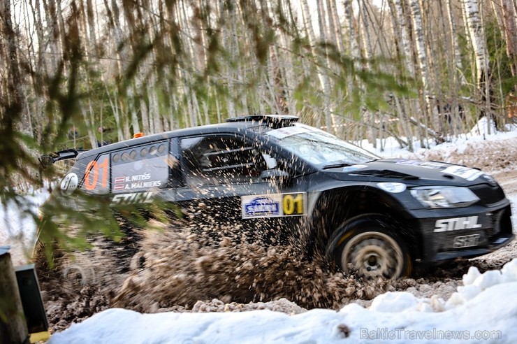 Leģendārajam ziemas rallijam «Sarma 2019» pieteicās deviņdesmit astoņas ekipāžas, kuru sportisti pārstāvēja trīspadsmit valstis, ieskaitot pat tādas k Leģendārajam ziemas rallijam «Sarma 2019» pieteicās deviņdesmit astoņas ekipāžas, kuru sportisti pārstāvēja trīspadsmit valstis, ieskaitot pat tādas k 245554