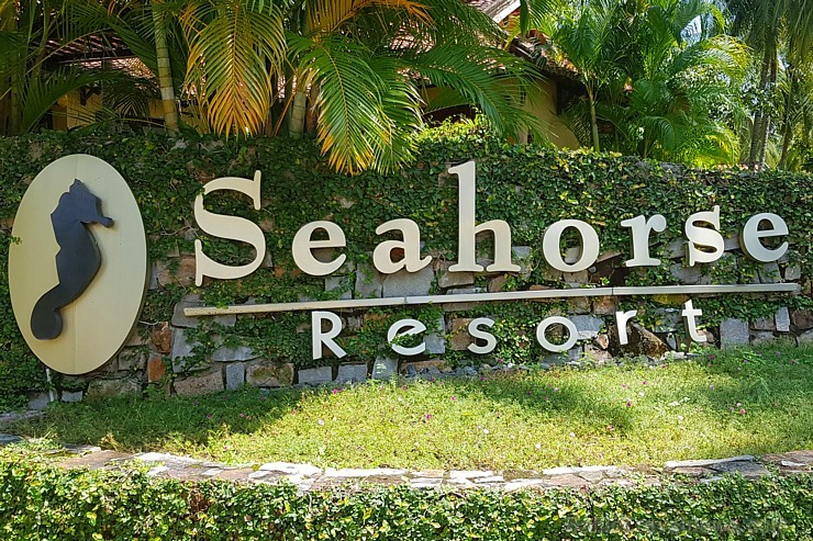Travelnews.lv iepazīst Vjetnamas pludmales viesnīcas «Seahorse Resort & Spa» kopā ar 365 brīvdienas un Turkish Airlines Travelnews.lv iepazīst Vjetnamas pludmales viesnīcas «Seahorse Resort & Spa» kopā ar 365 brīvdienas un Turkish Airlines 246411
