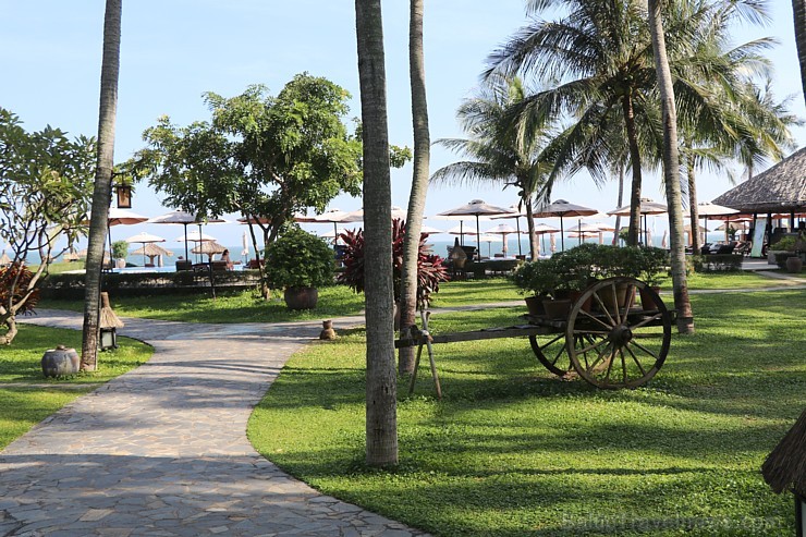 Travelnews.lv iepazīst Vjetnamas pludmales viesnīcas «Seahorse Resort & Spa» kopā ar 365 brīvdienas un Turkish Airlines Travelnews.lv iepazīst Vjetnamas pludmales viesnīcas «Seahorse Resort & Spa» kopā ar 365 brīvdienas un Turkish Airlines 246431
