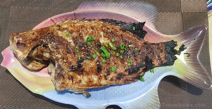 Travelnews.lv Vjetnamā iepazīst Muine pludmales galvenās ielas dzīvi kopā ar 365 brīvdienas un Turkish Airlines Travelnews.lv Vjetnamā iepazīst Muine pludmales galvenās ielas dzīvi kopā ar 365 brīvdienas un Turkish Airlines 246498