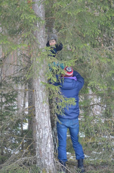 Pārgājiena laikā dalībnieki izglītojās par dzīvnieku atstātajiem pēdu nospiedumiem dabā, nosaidroja no kurienes atceļojušas un kurp aizved to pēdas, a Pārgājiena laikā dalībnieki izglītojās par dzīvnieku atstātajiem pēdu nospiedumiem dabā, nosaidroja no kurienes atceļojušas un kurp aizved to pēdas, a 247834