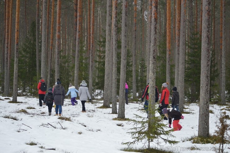 Pārgājiena laikā dalībnieki izglītojās par dzīvnieku atstātajiem pēdu nospiedumiem dabā, nosaidroja no kurienes atceļojušas un kurp aizved to pēdas, a Pārgājiena laikā dalībnieki izglītojās par dzīvnieku atstātajiem pēdu nospiedumiem dabā, nosaidroja no kurienes atceļojušas un kurp aizved to pēdas, a 247837