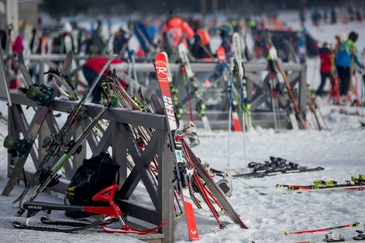Latvijas Skolu ziemas Olimpiskais festivāls pulcēja 1262 skolēnus no 139 skolām. Latvijas skolu jauniešu cīnījās par godalgām 14 sporta veidos un liel Latvijas Skolu ziemas Olimpiskais festivāls pulcēja 1262 skolēnus no 139 skolām. Latvijas skolu jauniešu cīnījās par godalgām 14 sporta veidos un liel 247863