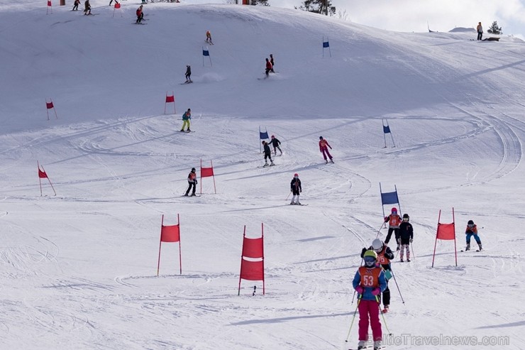 Latvijas Skolu ziemas Olimpiskais festivāls pulcēja 1262 skolēnus no 139 skolām. Latvijas skolu jauniešu cīnījās par godalgām 14 sporta veidos un liel Latvijas Skolu ziemas Olimpiskais festivāls pulcēja 1262 skolēnus no 139 skolām. Latvijas skolu jauniešu cīnījās par godalgām 14 sporta veidos un liel 247866