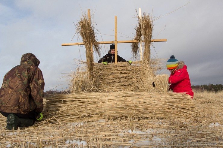 Dabai draudzīgajā Niedru skulptūru festivālā, kas norisinājās 2. martā,bija iespēja radoši izpausties un aizraujoši pavadīt laiku brīvā dabā, no pašu  248145