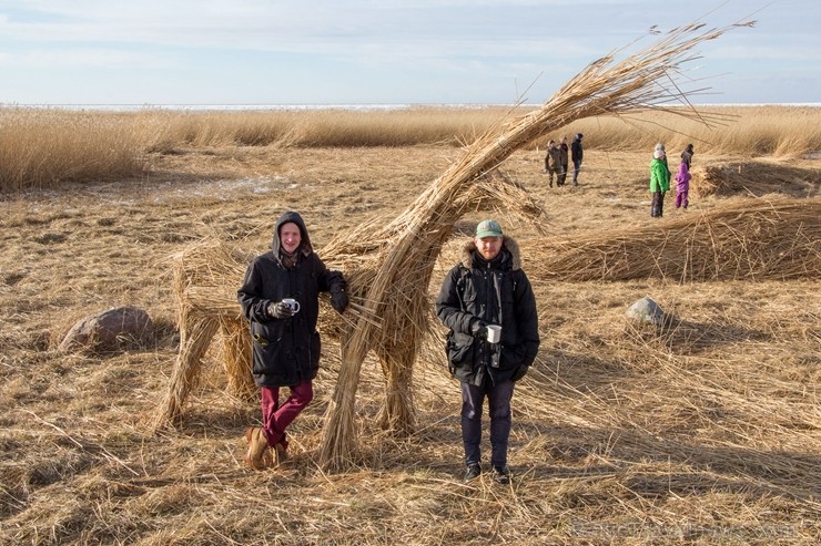 Dabai draudzīgajā Niedru skulptūru festivālā, kas norisinājās 2. martā,bija iespēja radoši izpausties un aizraujoši pavadīt laiku brīvā dabā, no pašu  248153