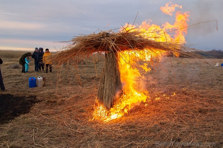 Dabai draudzīgajā Niedru skulptūru festivālā, kas norisinājās 2. martā,bija iespēja radoši izpausties un aizraujoši pavadīt laiku brīvā dabā, no pašu  248158