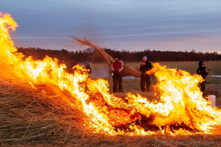 Dabai draudzīgajā Niedru skulptūru festivālā, kas norisinājās 2. martā,bija iespēja radoši izpausties un aizraujoši pavadīt laiku brīvā dabā, no pašu  248159