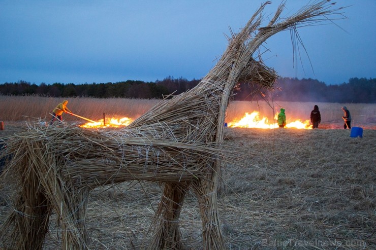 Dabai draudzīgajā Niedru skulptūru festivālā, kas norisinājās 2. martā,bija iespēja radoši izpausties un aizraujoši pavadīt laiku brīvā dabā, no pašu  248161