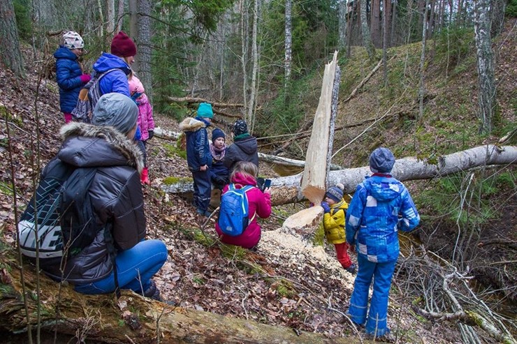 Pārgājiena dalībnieki baudīja pavasari, kā arī dabas izglītības speciālista vadībā uzzināja daudz ko jaunu par dabu un apkārtnes kultūrvēsturi Svētcie Pārgājiena dalībnieki baudīja pavasari, kā arī dabas izglītības speciālista vadībā uzzināja daudz ko jaunu par dabu un apkārtnes kultūrvēsturi Svētcie 249703