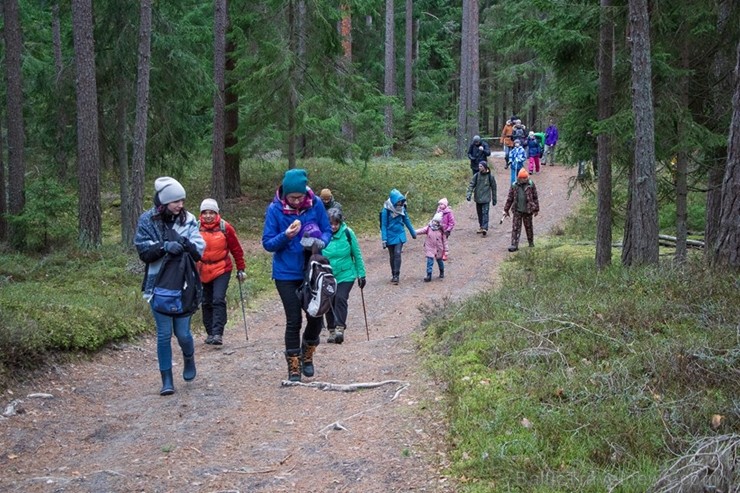 Pārgājiena dalībnieki baudīja pavasari, kā arī dabas izglītības speciālista vadībā uzzināja daudz ko jaunu par dabu un apkārtnes kultūrvēsturi Svētcie Pārgājiena dalībnieki baudīja pavasari, kā arī dabas izglītības speciālista vadībā uzzināja daudz ko jaunu par dabu un apkārtnes kultūrvēsturi Svētcie 249705