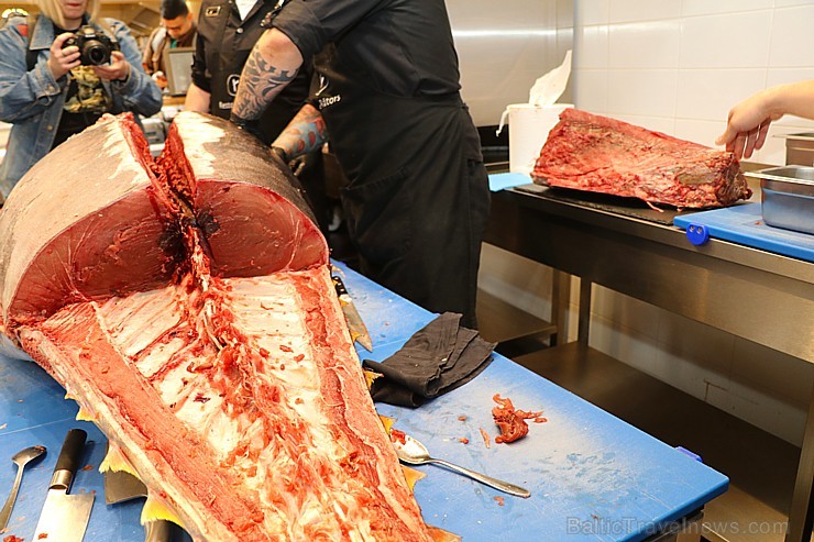 Skatītāju priekšā «Centrālais Gastro Tirgus» tiek sadalīts 208kg smags un 6.000 eiro vērts tuncis Skatītāju priekšā «Centrālais Gastro Tirgus» tiek sadalīts 208kg smags un 6.000 eiro vērts tuncis 250624