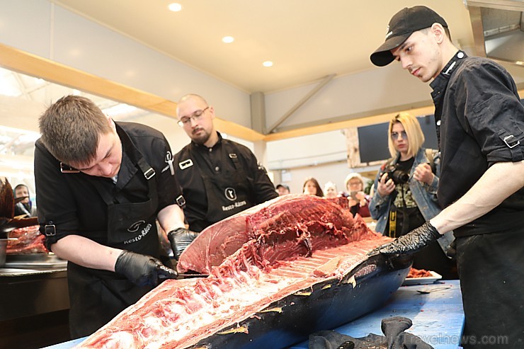 Skatītāju priekšā «Centrālais Gastro Tirgus» tiek sadalīts 208kg smags un 6.000 eiro vērts tuncis Skatītāju priekšā «Centrālais Gastro Tirgus» tiek sadalīts 208kg smags un 6.000 eiro vērts tuncis 250635