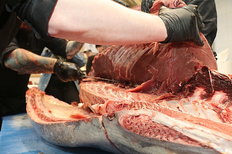 Skatītāju priekšā «Centrālais Gastro Tirgus» tiek sadalīts 208kg smags un 6.000 eiro vērts tuncis Skatītāju priekšā «Centrālais Gastro Tirgus» tiek sadalīts 208kg smags un 6.000 eiro vērts tuncis 250636