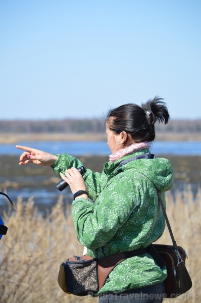 Dabas liegumā «Lubāna mitrājs» Putnu dienās pulcējas zinātkāri dabas draugi 250965