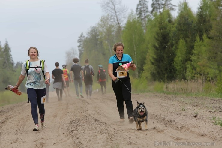 Olainē jau trešo gadu pēc kārtas norisinājās Olaines rogainings, kas pulcēja vairāk kā 600 dalībniekus – gan vietējos orientēšanās un velo aktīvistus, Olainē jau trešo gadu pēc kārtas norisinājās Olaines rogainings, kas pulcēja vairāk kā 600 dalībniekus – gan vietējos orientēšanās un velo aktīvistus, 253867