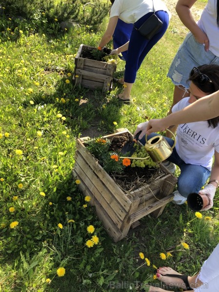 Rallija laikā ceļa posma P 37 apkārtnē tika apskatīti 25 tūrisma objekti. Šogad cīņā par galvenajām balvām devās 151 komanda ar vairāk nekā 670 dalībn Rallija laikā ceļa posma P 37 apkārtnē tika apskatīti 25 tūrisma objekti. Šogad cīņā par galvenajām balvām devās 151 komanda ar vairāk nekā 670 dalībn 254280
