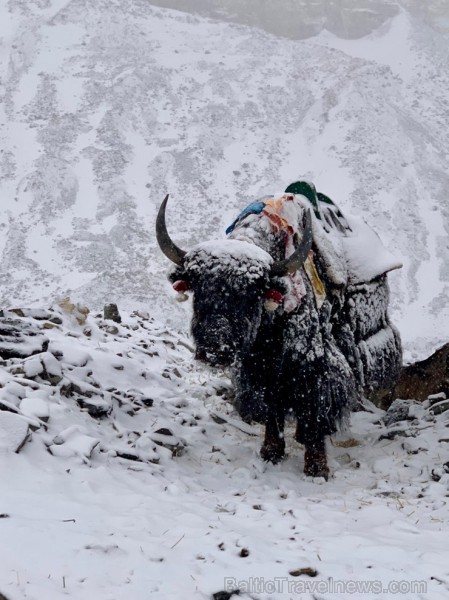 Tūroperatora Alida Tūrs valdes priekšsēdētājs Arno Ter-Saakovs piepildījis savu sapni un sasniedzis pasaules augstāko virsotni Everestu Tūroperatora Alida Tūrs valdes priekšsēdētājs Arno Ter-Saakovs piepildījis savu sapni un sasniedzis pasaules augstāko virsotni Everestu 254661