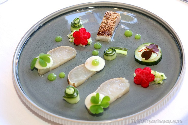 «Schwarzreiter» garša no Michelin pavāres Maike Menzel ir baudāma 2 dienas Rīgā - restorānā «Stage22» «Schwarzreiter» garša no Michelin pavāres Maike Menzel ir baudāma 2 dienas Rīgā - restorānā «Stage22» 254673