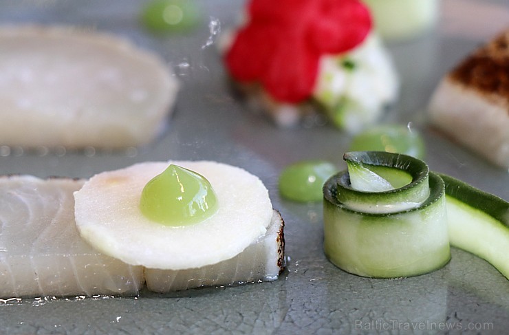 «Schwarzreiter» garša no Michelin pavāres Maike Menzel ir baudāma 2 dienas Rīgā - restorānā «Stage22» «Schwarzreiter» garša no Michelin pavāres Maike Menzel ir baudāma 2 dienas Rīgā - restorānā «Stage22» 254674
