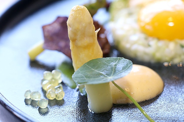 «Schwarzreiter» garša no Michelin pavāres Maike Menzel ir baudāma 2 dienas Rīgā - restorānā «Stage22» «Schwarzreiter» garša no Michelin pavāres Maike Menzel ir baudāma 2 dienas Rīgā - restorānā «Stage22» 254686