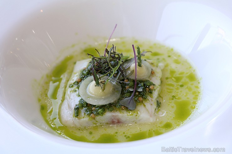 «Schwarzreiter» garša no Michelin pavāres Maike Menzel ir baudāma 2 dienas Rīgā - restorānā «Stage22» «Schwarzreiter» garša no Michelin pavāres Maike Menzel ir baudāma 2 dienas Rīgā - restorānā «Stage22» 254693