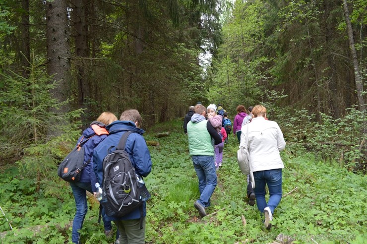 Pārgājiena gaitā tika apskatīti kukaiņi, ķērpji, gliemeži un sēnes, bet lielu interesi radīja sarkanās ērces, Plaušu ķērpja, Gludā vārsptiņgliemeža, n 255507