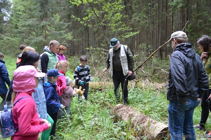 Pārgājiena gaitā tika apskatīti kukaiņi, ķērpji, gliemeži un sēnes, bet lielu interesi radīja sarkanās ērces, Plaušu ķērpja, Gludā vārsptiņgliemeža, n Pārgājiena gaitā tika apskatīti kukaiņi, ķērpji, gliemeži un sēnes, bet lielu interesi radīja sarkanās ērces, Plaušu ķērpja, Gludā vārsptiņgliemeža, n 255509