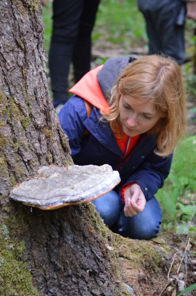 Pārgājiena gaitā tika apskatīti kukaiņi, ķērpji, gliemeži un sēnes, bet lielu interesi radīja sarkanās ērces, Plaušu ķērpja, Gludā vārsptiņgliemeža, n Pārgājiena gaitā tika apskatīti kukaiņi, ķērpji, gliemeži un sēnes, bet lielu interesi radīja sarkanās ērces, Plaušu ķērpja, Gludā vārsptiņgliemeža, n 255517