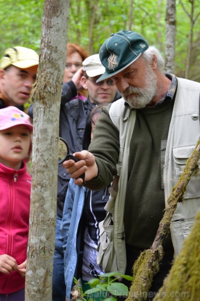 Pārgājiena gaitā tika apskatīti kukaiņi, ķērpji, gliemeži un sēnes, bet lielu interesi radīja sarkanās ērces, Plaušu ķērpja, Gludā vārsptiņgliemeža, n Pārgājiena gaitā tika apskatīti kukaiņi, ķērpji, gliemeži un sēnes, bet lielu interesi radīja sarkanās ērces, Plaušu ķērpja, Gludā vārsptiņgliemeža, n 255520