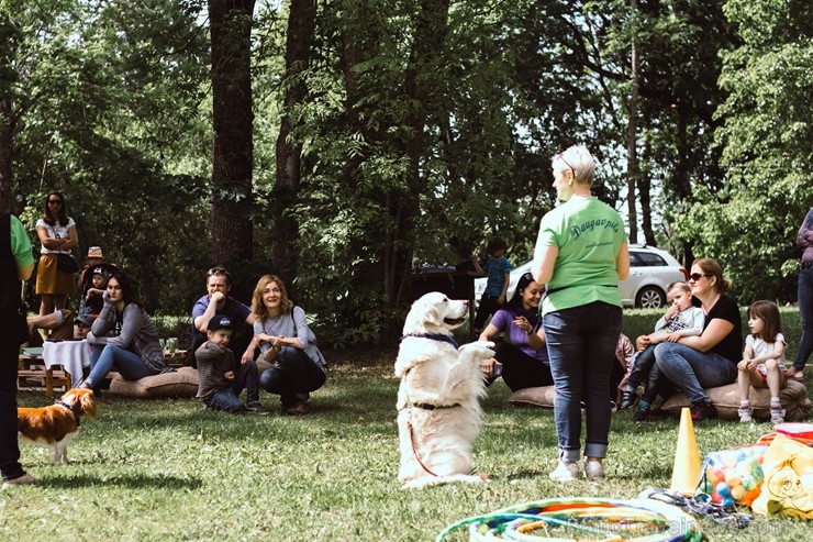Preiļu novada Jasmuižas parkā pirmo reizi tika rīkots ekofestivāls Preiļu novada Jasmuižas parkā pirmo reizi tika rīkots ekofestivāls