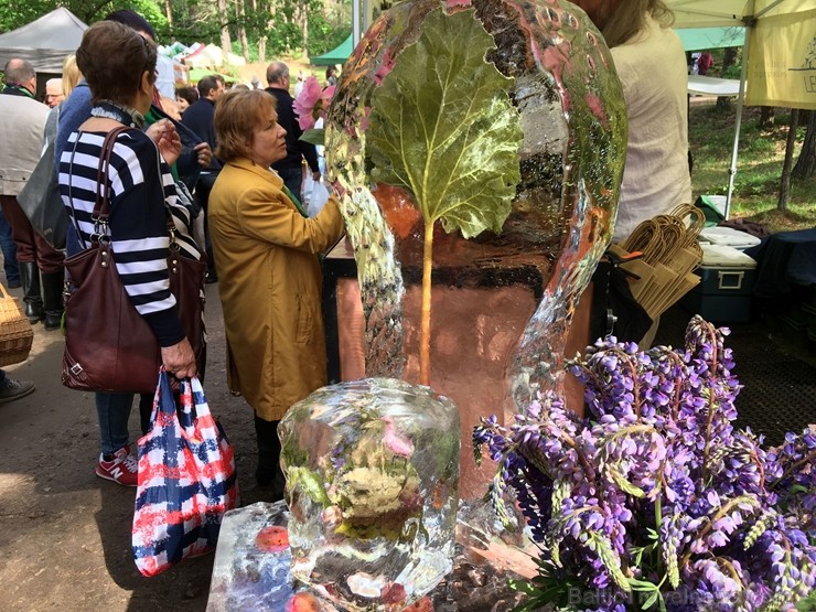 Latvijas Etnogrāfiskajā brīvdabas muzejā no 1. līdz 2. jūnijam jau 49. rīkoja Latviešu tautas lietišķās mākslas darinājumu Gadatirgu, kas pulcēja Latv 256170