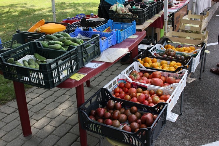 Gulbenes Zaļais tirdziņš notiek katra mēneša trešajā sestdienā un tajā var atrast tikai pašu novadnieku ražotu, audzētu un darinātu produkciju Gulbenes Zaļais tirdziņš notiek katra mēneša trešajā sestdienā un tajā var atrast tikai pašu novadnieku ražotu, audzētu un darinātu produkciju 257356