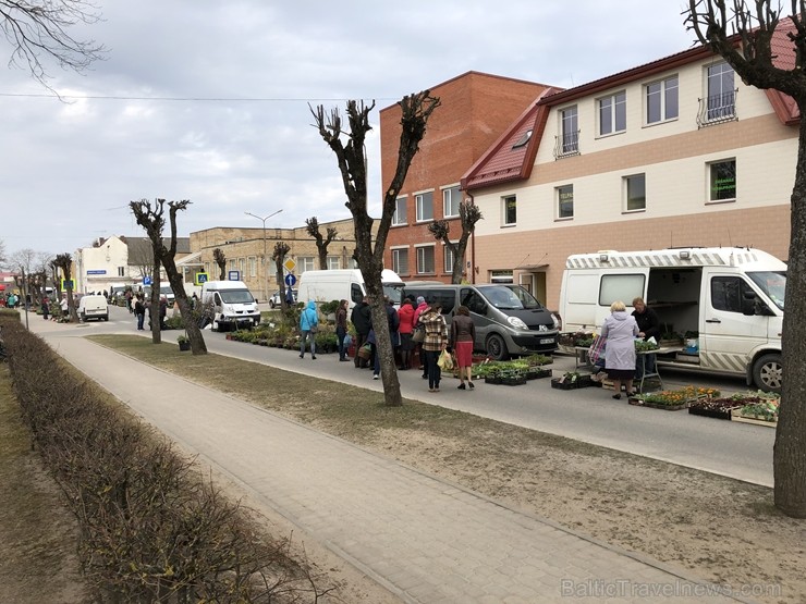 Gulbenes Zaļais tirdziņš notiek katra mēneša trešajā sestdienā un tajā var atrast tikai pašu novadnieku ražotu, audzētu un darinātu produkciju Gulbenes Zaļais tirdziņš notiek katra mēneša trešajā sestdienā un tajā var atrast tikai pašu novadnieku ražotu, audzētu un darinātu produkciju 257359