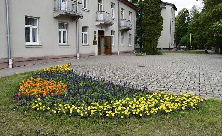 Šogad Preiļu pilsētas ziedu apstādījumos valda lillā, dzeltenais un oranžais tonis, bet Preiļu pilsētas centru rotā krāšņa ziedu upe Šogad Preiļu pilsētas ziedu apstādījumos valda lillā, dzeltenais un oranžais tonis, bet Preiļu pilsētas centru rotā krāšņa ziedu upe 258379