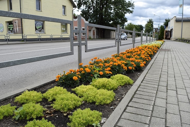 Šogad Preiļu pilsētas ziedu apstādījumos valda lillā, dzeltenais un oranžais tonis, bet Preiļu pilsētas centru rotā krāšņa ziedu upe Šogad Preiļu pilsētas ziedu apstādījumos valda lillā, dzeltenais un oranžais tonis, bet Preiļu pilsētas centru rotā krāšņa ziedu upe 258385