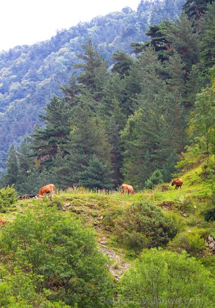 Travelnews.lv divas dienas pavada Kaukāza kalnu ciematā Šatili. Atbalsta: Georgia.Travel 263020