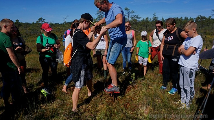 Ziemeļvidzemes biosfēras rezervāts ir vienīgā šāda veida īpaši aizsargājamā dabas teritorija Latvijā, kas aptver 457 600 hektārus sauszemes un 16 750  263677