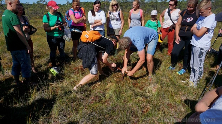 Ziemeļvidzemes biosfēras rezervāts ir vienīgā šāda veida īpaši aizsargājamā dabas teritorija Latvijā, kas aptver 457 600 hektārus sauszemes un 16 750  263678