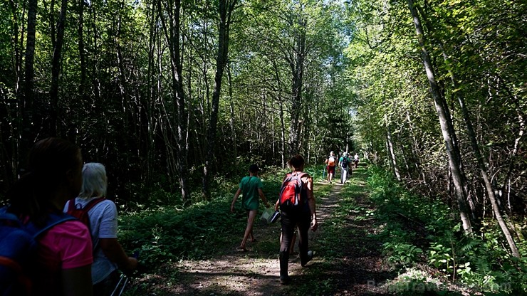 Ziemeļvidzemes biosfēras rezervāts ir vienīgā šāda veida īpaši aizsargājamā dabas teritorija Latvijā, kas aptver 457 600 hektārus sauszemes un 16 750  263687