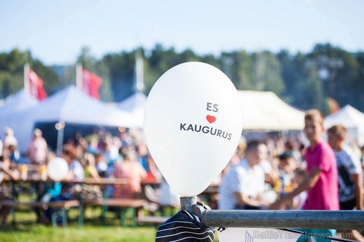 Visas sestdienas garumā Kauguros skanēja muzikāli priekšnesumi un norisinājās daudzveidīgas radošas un sportiskas aktivitātes Visas sestdienas garumā Kauguros skanēja muzikāli priekšnesumi un norisinājās daudzveidīgas radošas un sportiskas aktivitātes 264228