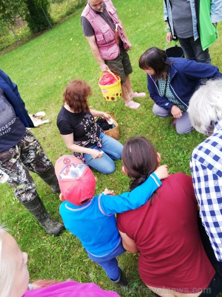 Sēņu dienas apmeklētāji varēja iepazīties ar ēdamām, indīgām un aizsargājamām sēnēm, veidot sēnes, salikt puzles un uzzināt par sēnēm piemērotām dzīvo Sēņu dienas apmeklētāji varēja iepazīties ar ēdamām, indīgām un aizsargājamām sēnēm, veidot sēnes, salikt puzles un uzzināt par sēnēm piemērotām dzīvo 264488