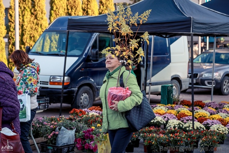 Madonas Saieta laukumā un tuvākajā apkārtnē notika tradicionālais rudens gadatirgus Madonas Saieta laukumā un tuvākajā apkārtnē notika tradicionālais rudens gadatirgus