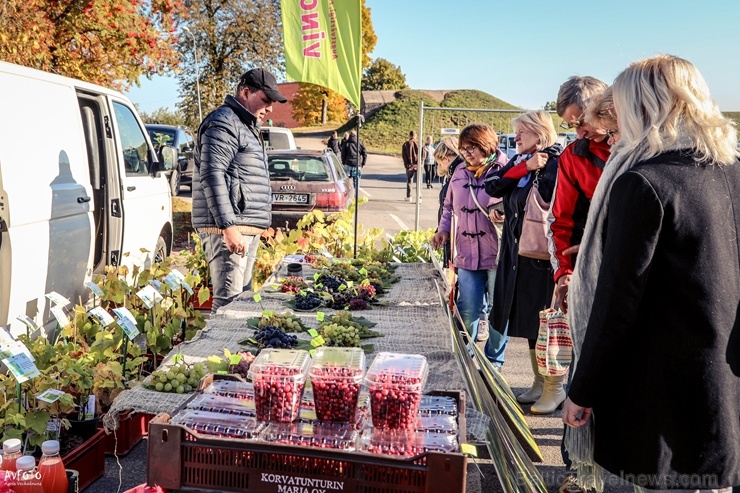 Madonas Saieta laukumā un tuvākajā apkārtnē notika tradicionālais rudens gadatirgus 