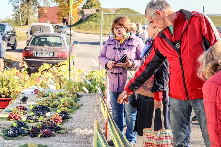 Madonas Saieta laukumā un tuvākajā apkārtnē notika tradicionālais rudens gadatirgus Madonas Saieta laukumā un tuvākajā apkārtnē notika tradicionālais rudens gadatirgus
