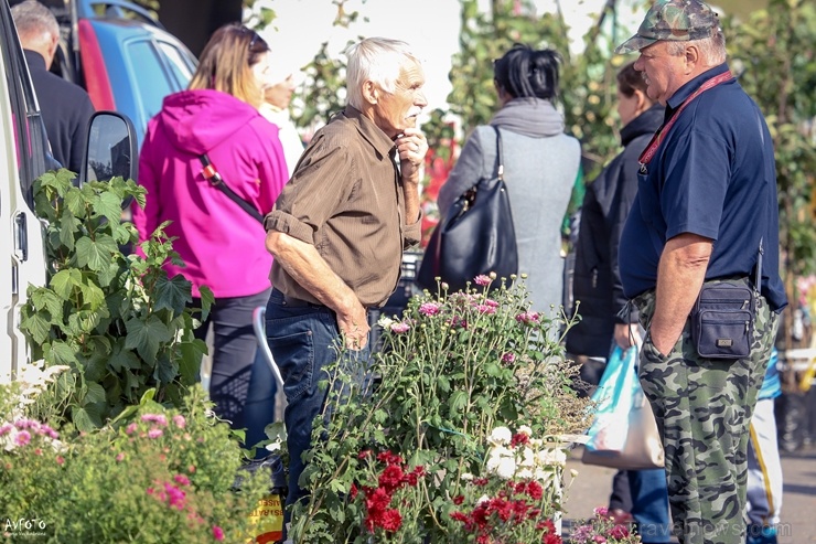 Madonas Saieta laukumā un tuvākajā apkārtnē notika tradicionālais rudens gadatirgus Madonas Saieta laukumā un tuvākajā apkārtnē notika tradicionālais rudens gadatirgus
